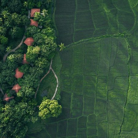 Jetwing Kaduruketha Hotel Wellawaya Bagian luar foto