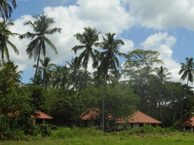 Jetwing Kaduruketha Hotel Wellawaya Bagian luar foto